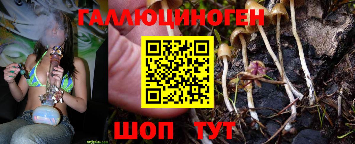 Галлюциногенные грибы MAGIC MUSHROOMS Воронеж