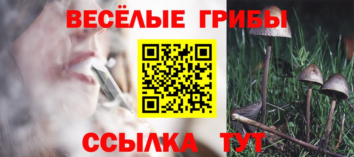 Воронеж  как найти закладки  Вход с VPN  Псилоцибиновые грибы Psilocybe 